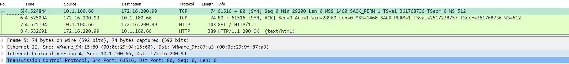 Análisis técnico de paquetes TCP y HTTP en captura de tráfico de red